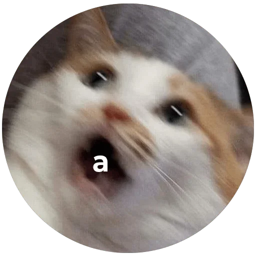 😱