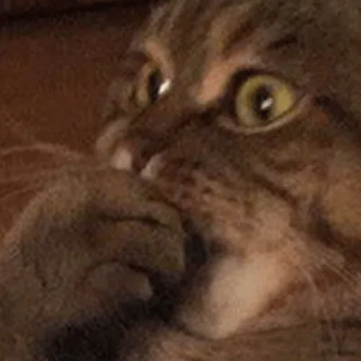 😱