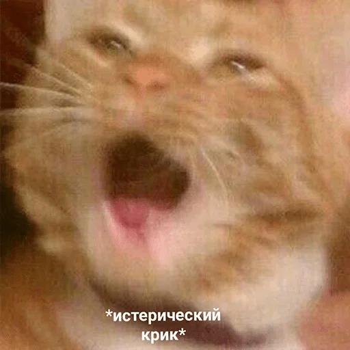😱