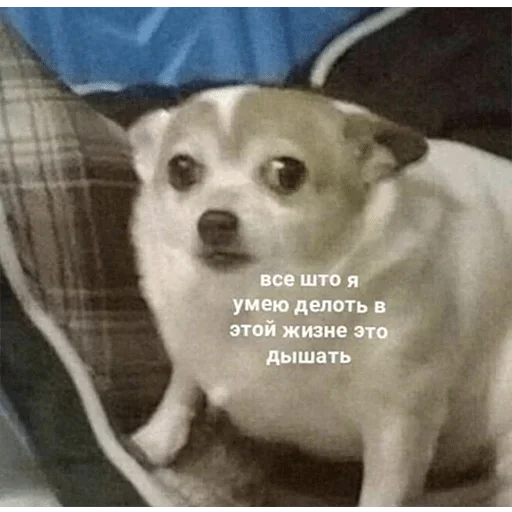 😰
