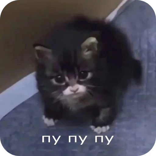 Аля улю