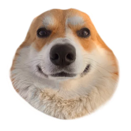 Маффин корги