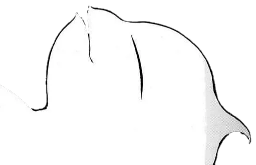 PuckTerzino :: @fStikBot