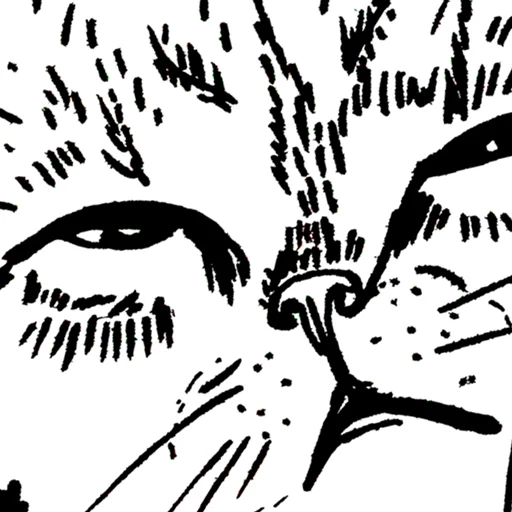 Кошачий вайб