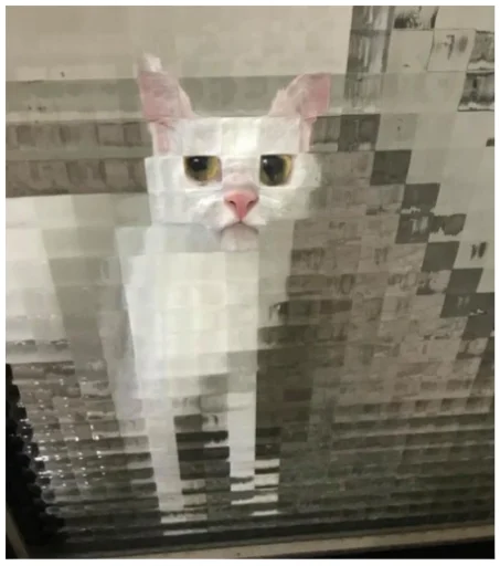 MinecraftCats