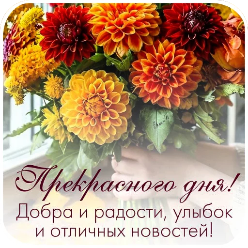 Открытки сборн #7 для @krolichi_lapochki