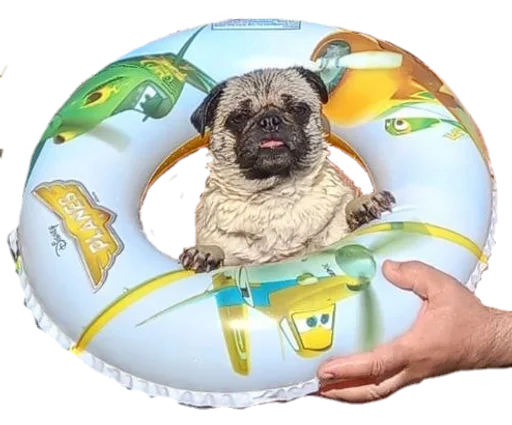 ОпапопА :: @fStikBot